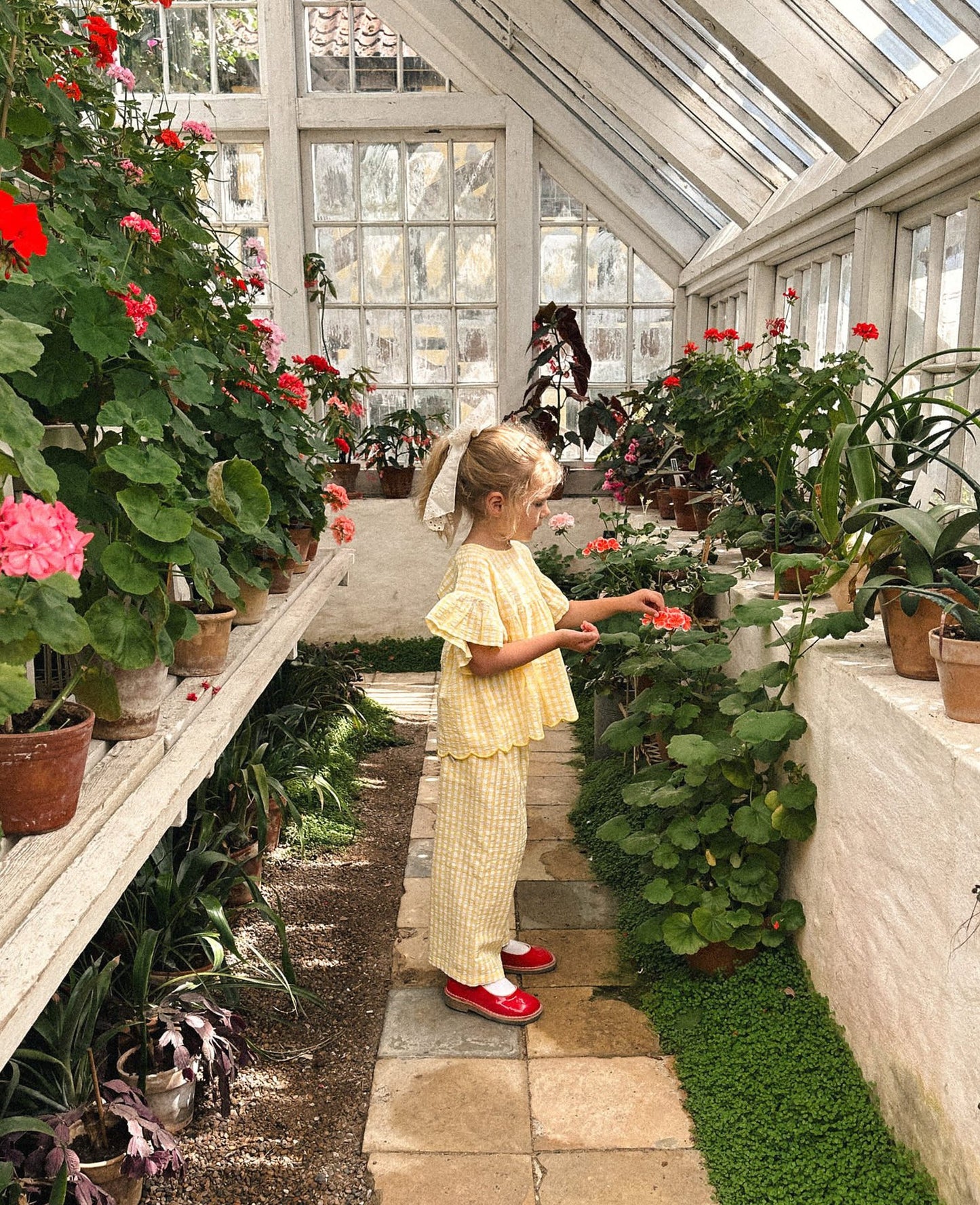 Sunny Gingham Top & Pants Set